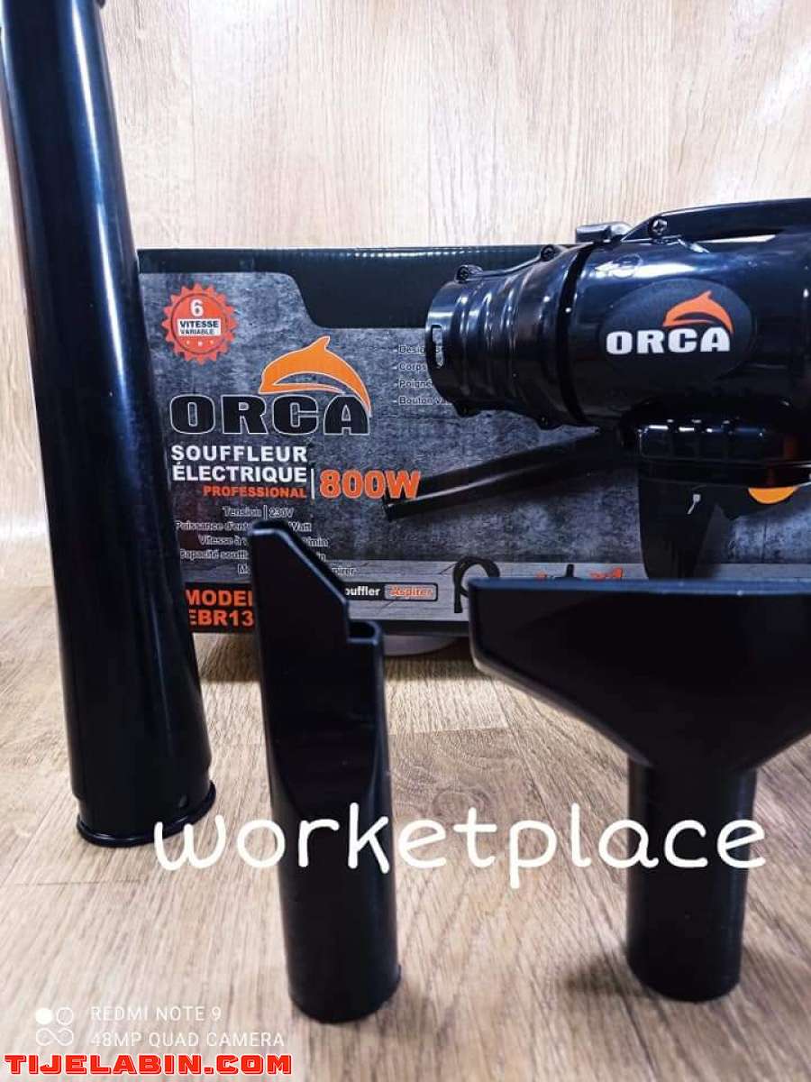 Aspirateur Souffleur Orca 800w
