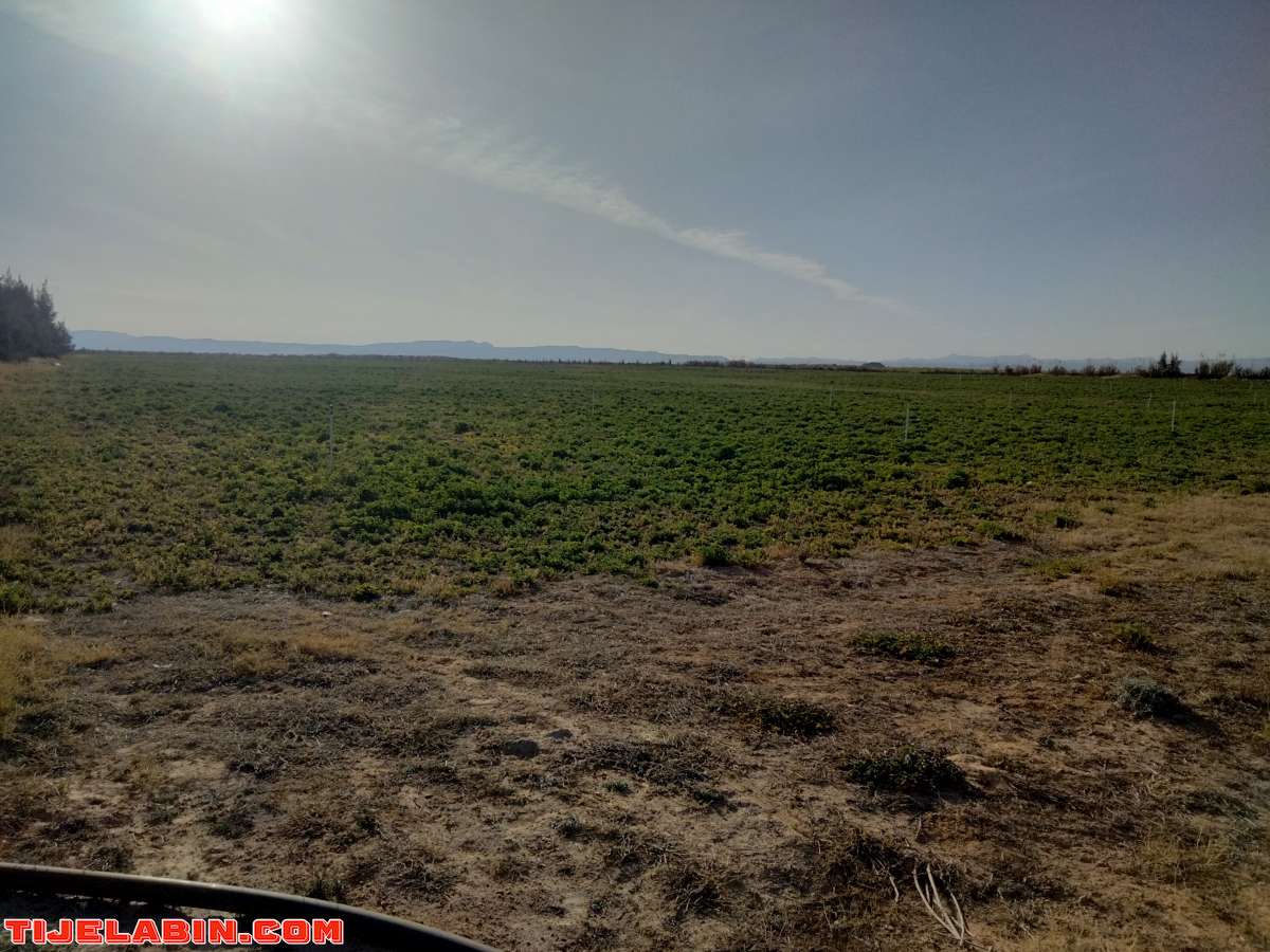 الأرض فلاحية