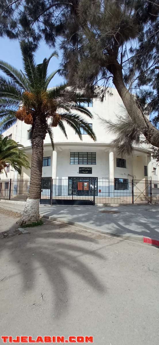 برطمات للبيع في برج البحري ماتراطيش