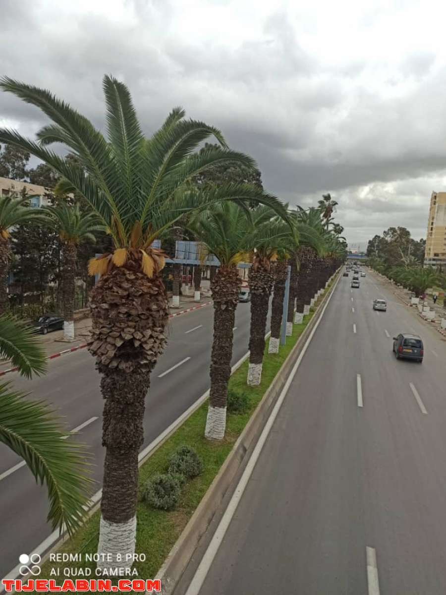 des appartements a dar el beida 0550 33 13 40