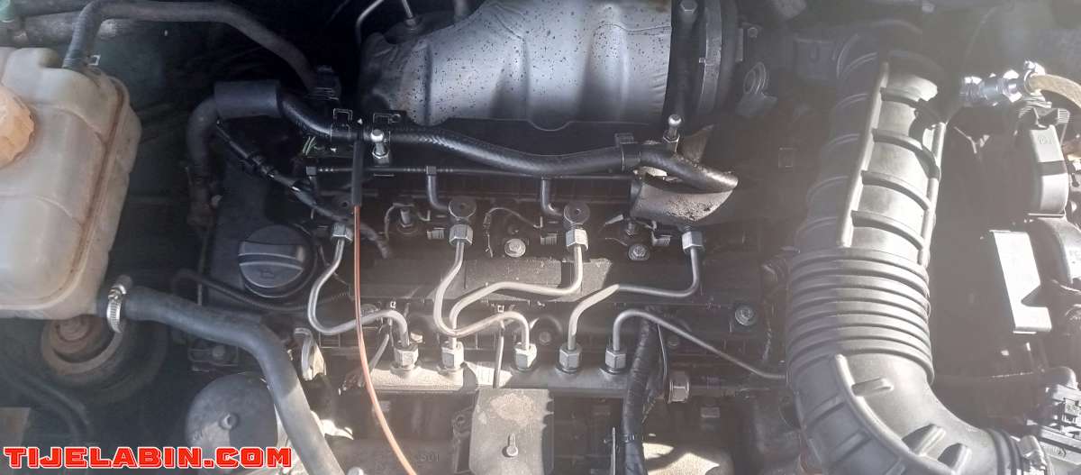 ssangyong korando12