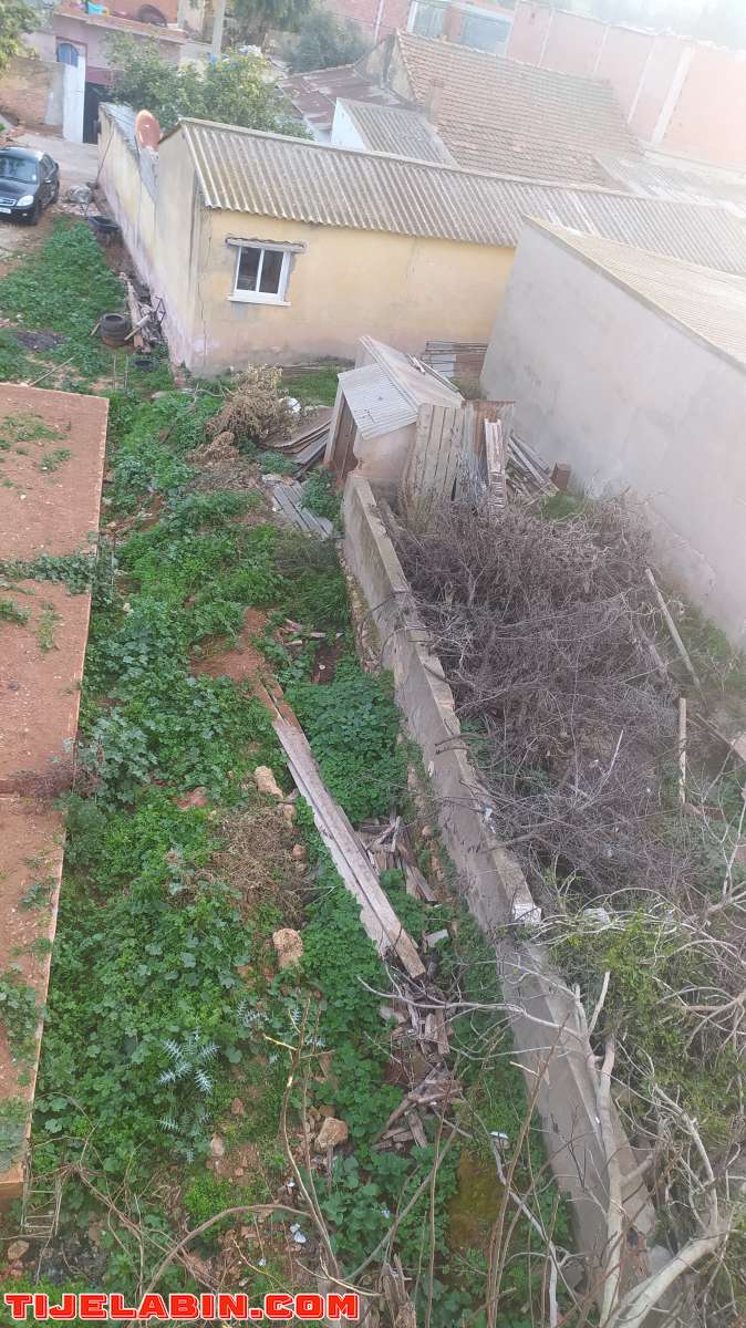 دار عرب للبيع