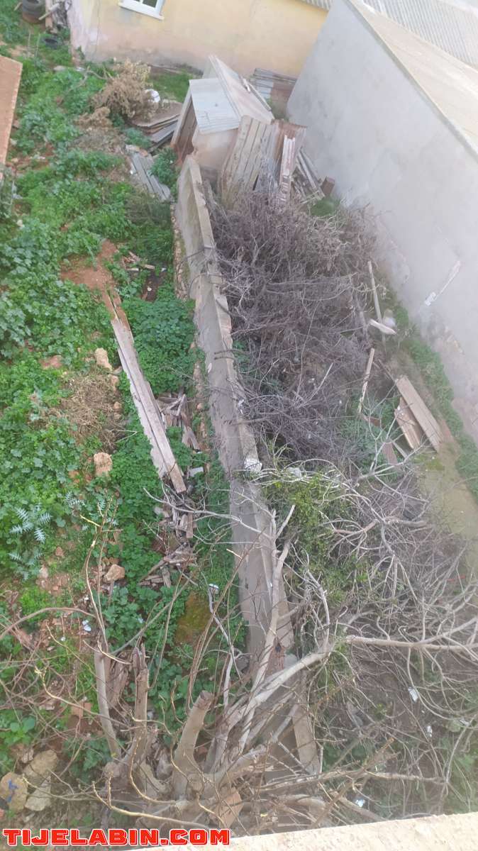 دار عرب للبيع