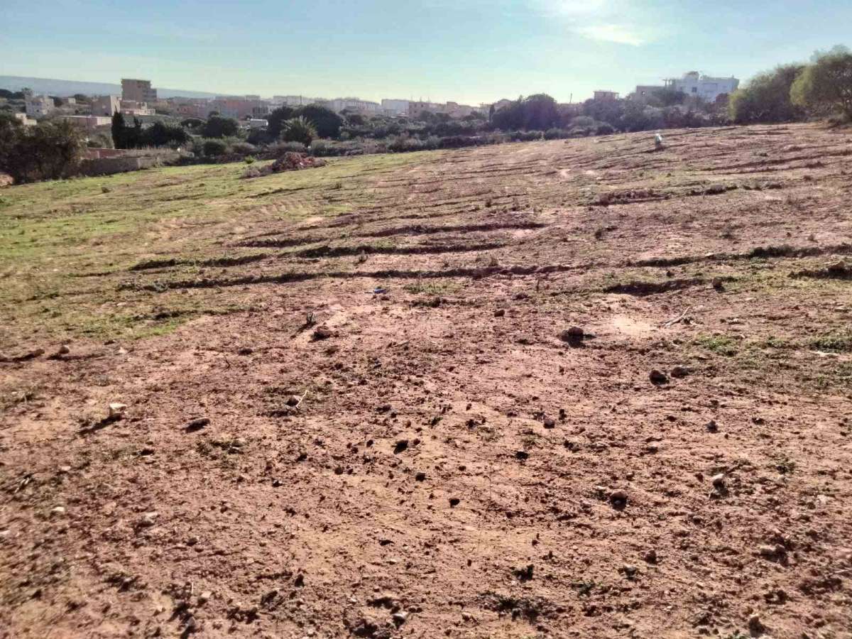 في ولاية مستغانم بلادية الصيادة الحشم