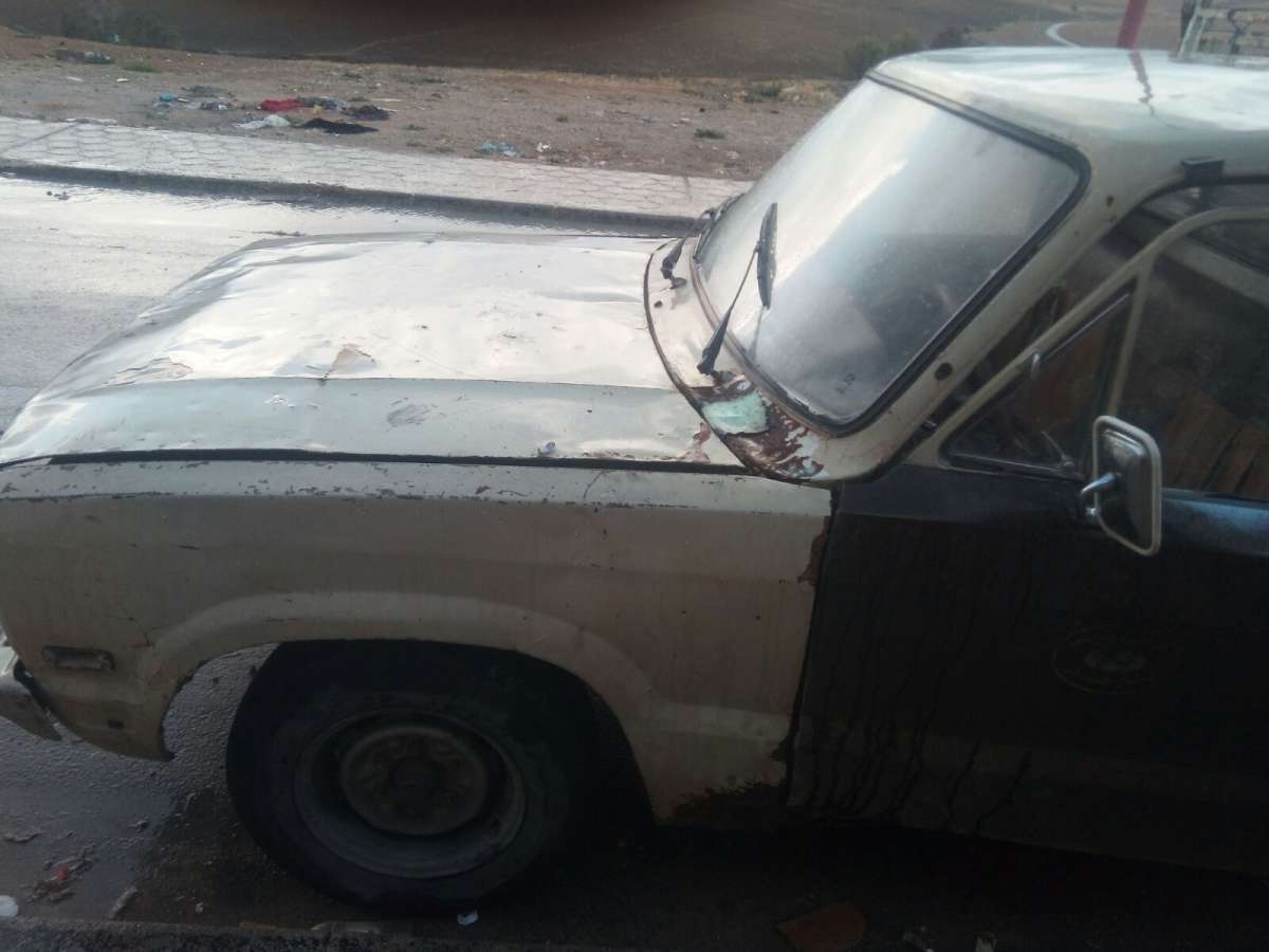 مازدا شاصي والصندوق نضاف