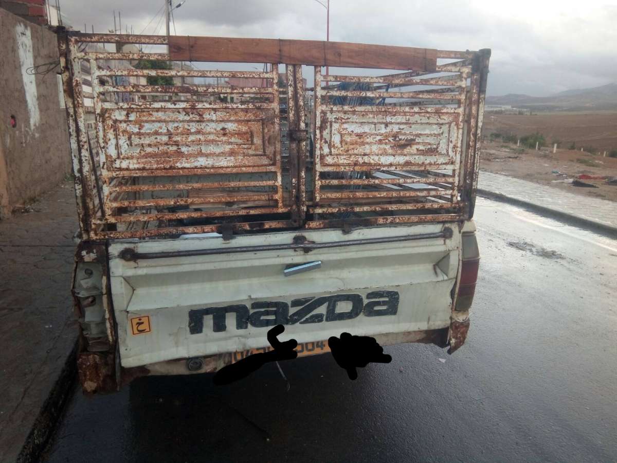 مازدا شاصي والصندوق نضاف