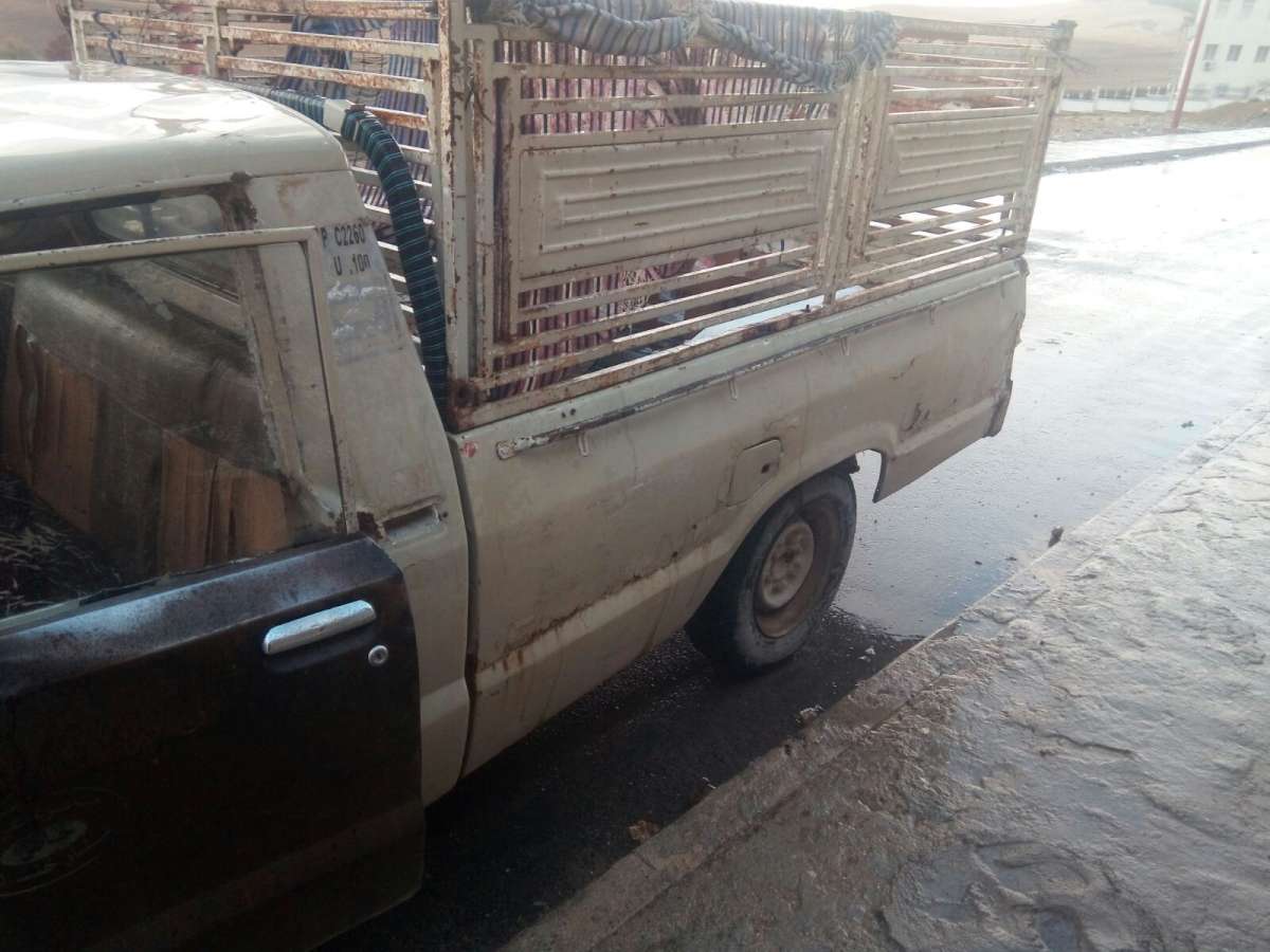 مازدا شاصي والصندوق نضاف