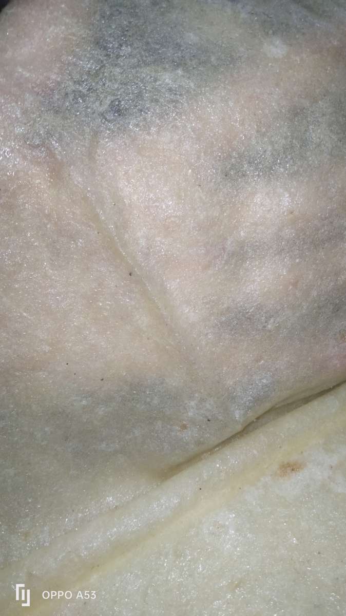 الشخشوخة ولمسمن