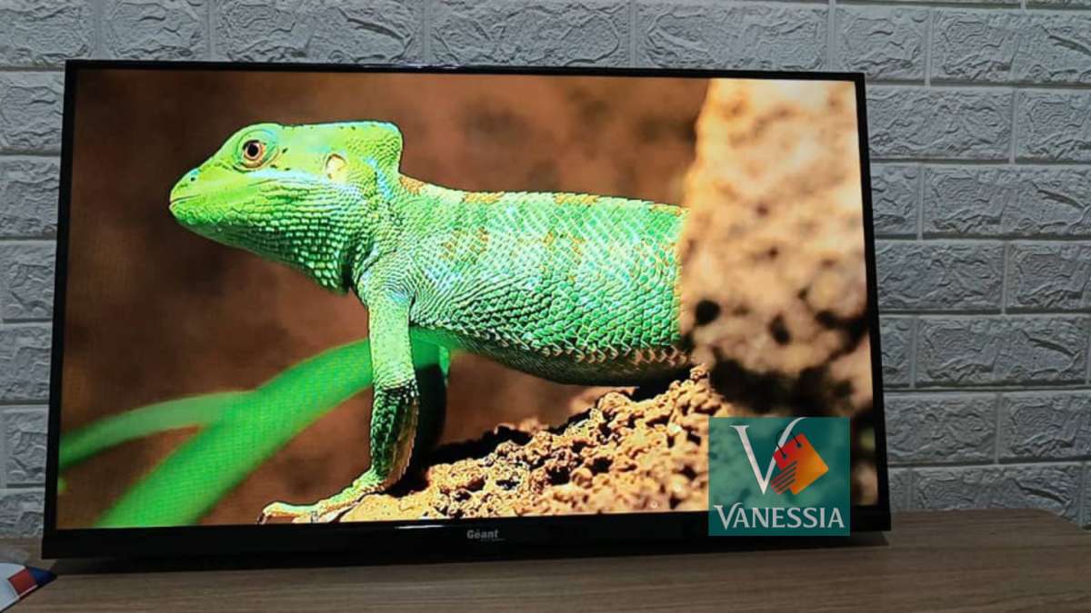 Tlviseur Gant 32 Pouces simple