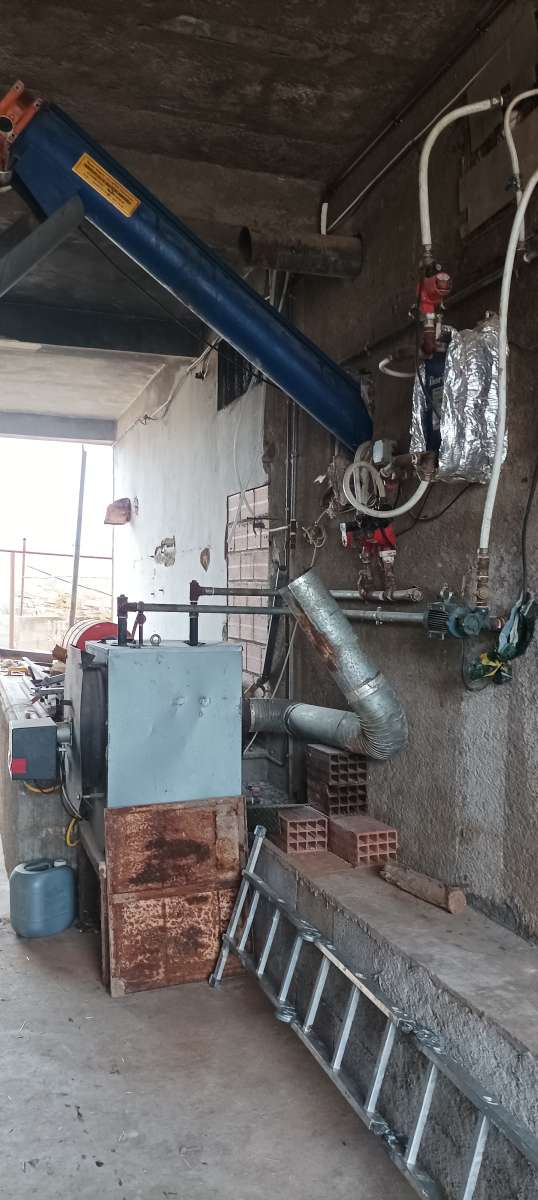 معصرة الزيتون