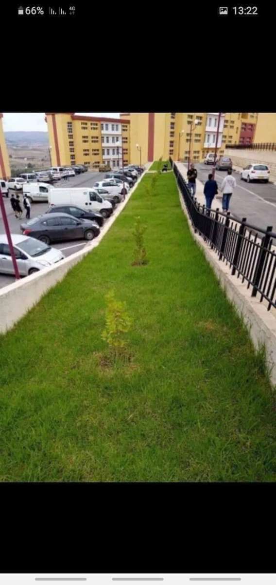 المساحات الخضراء