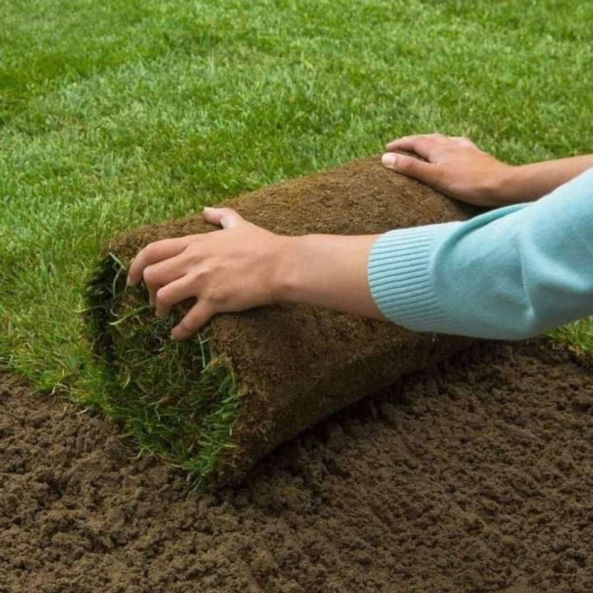 المساحات الخضراء