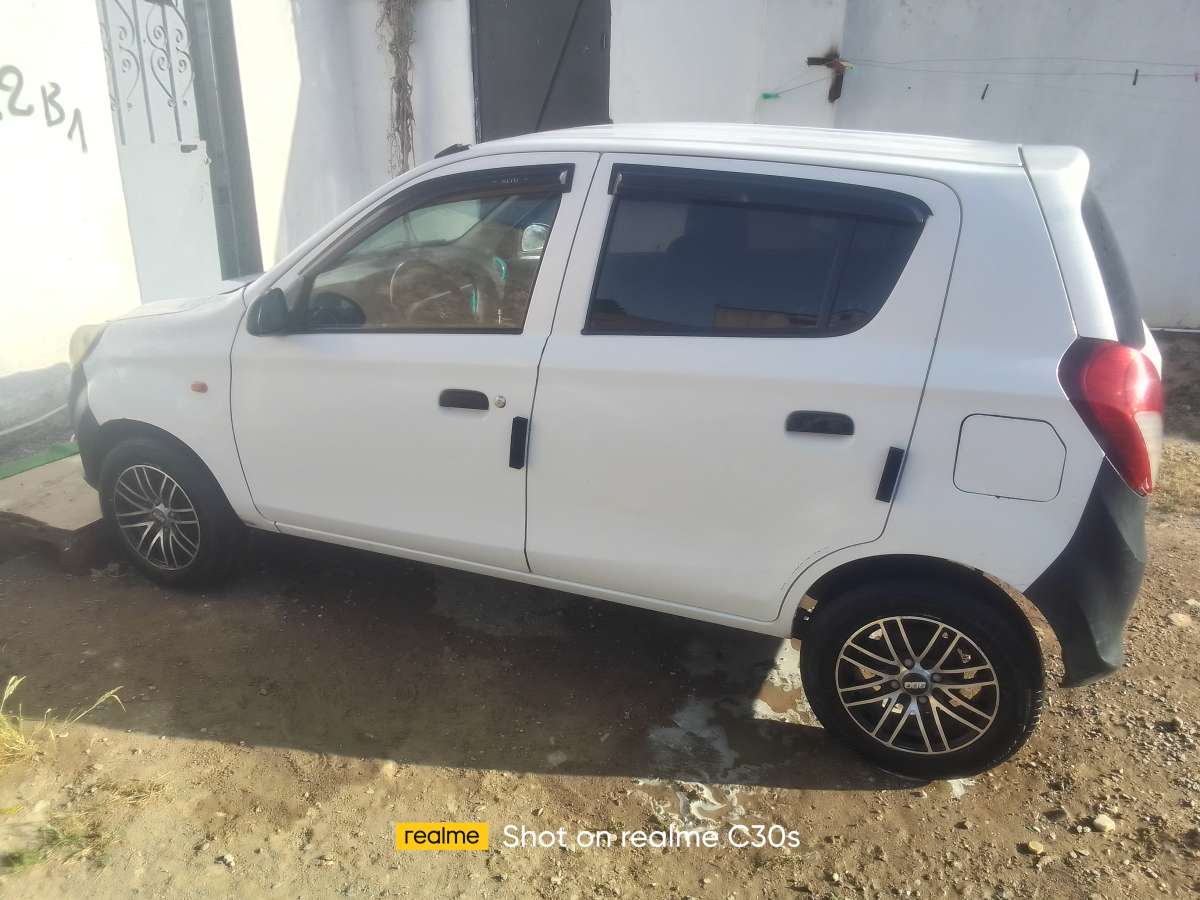 alto 800