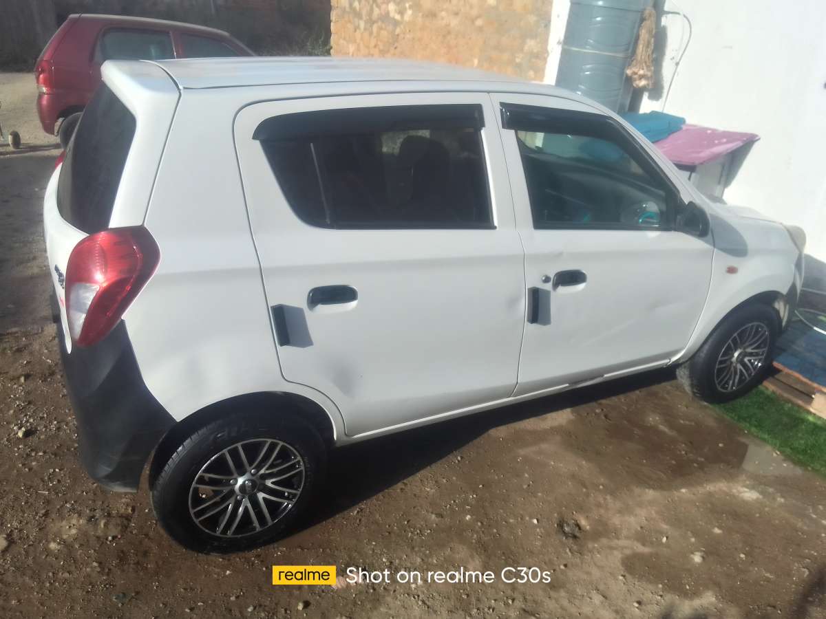 alto 800