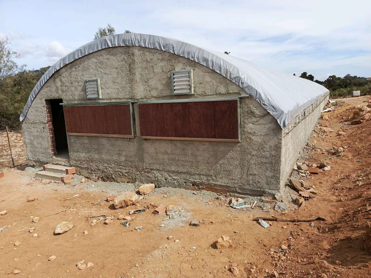 بيع وتركيب البيوت البلاستيكية الخاصة بتربية الدواجن ومعداتها