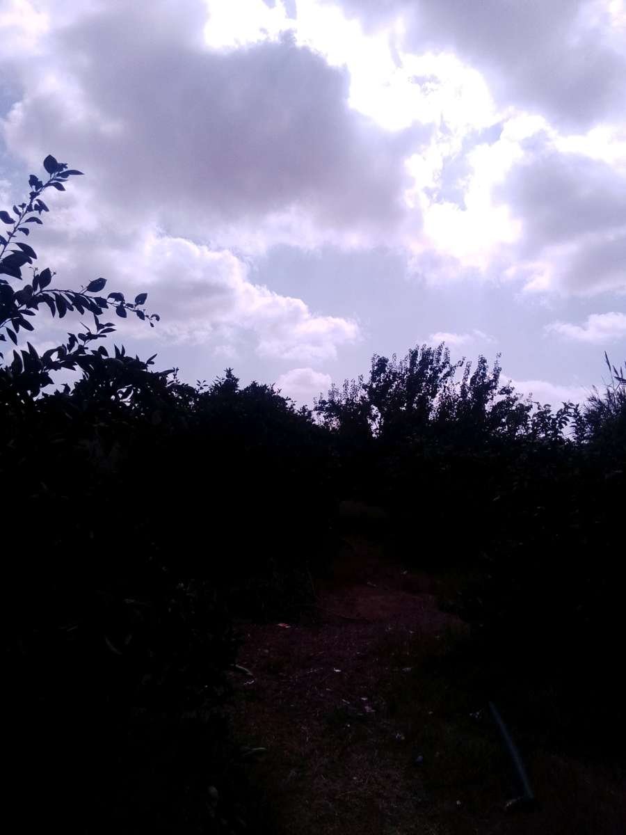 قطعة أرض خصبة