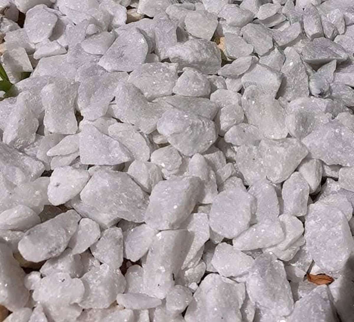 Gravier aquariumSlection de gravier pour0550794970