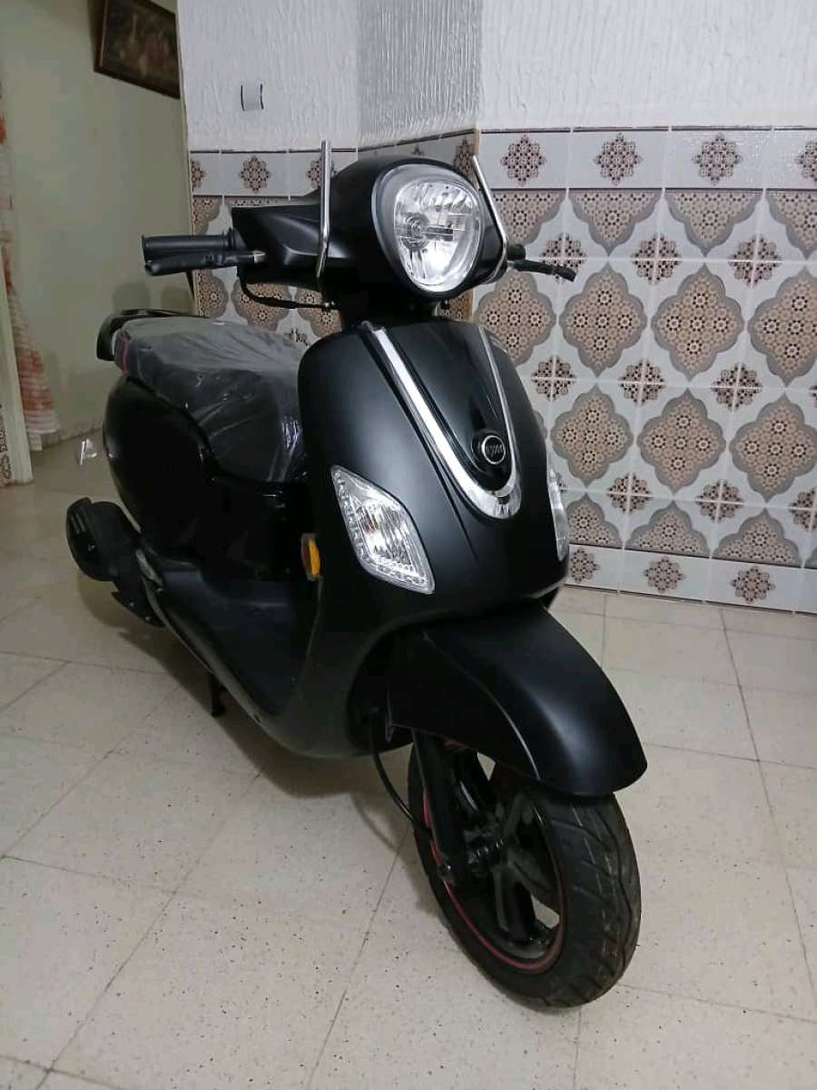sym fidelle 3