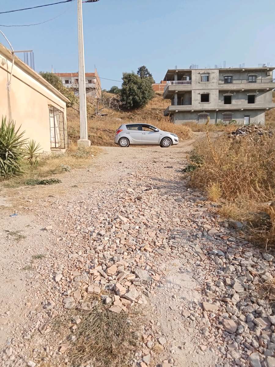 des terrains avendre a larbatache