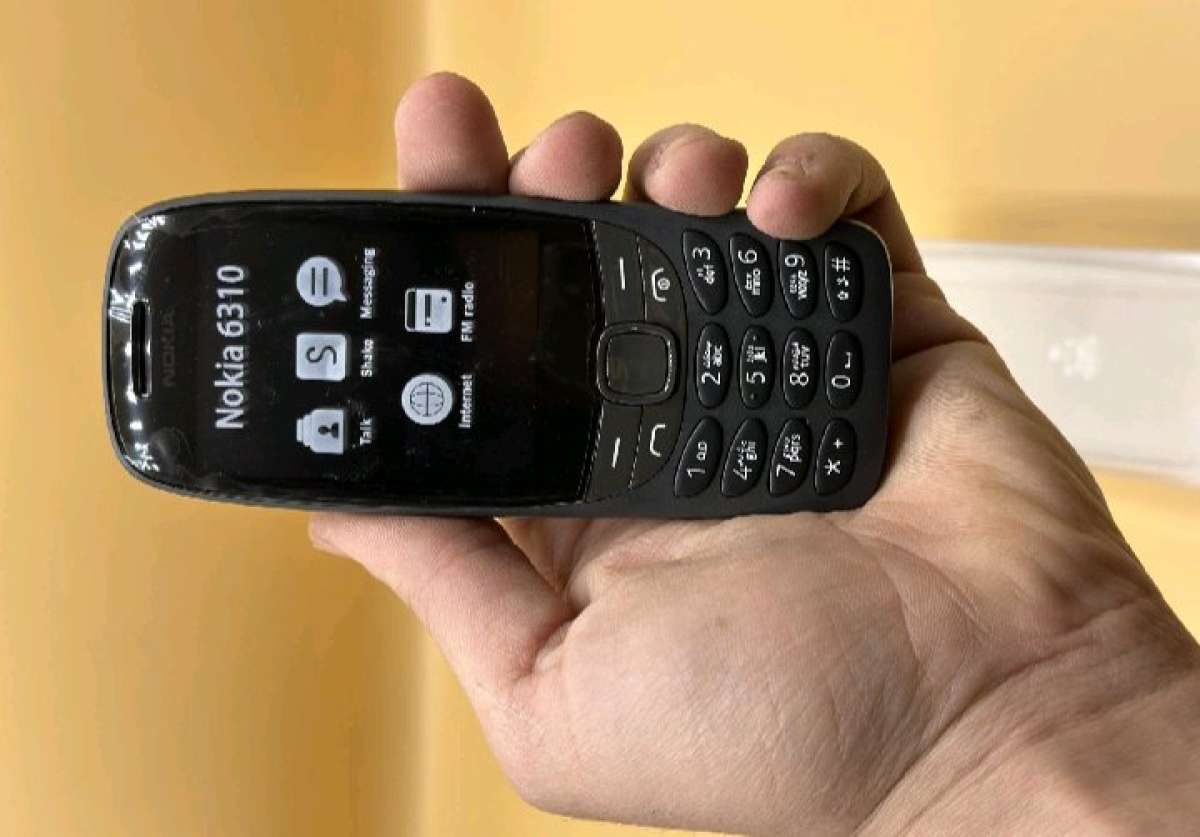 Nokia 6310