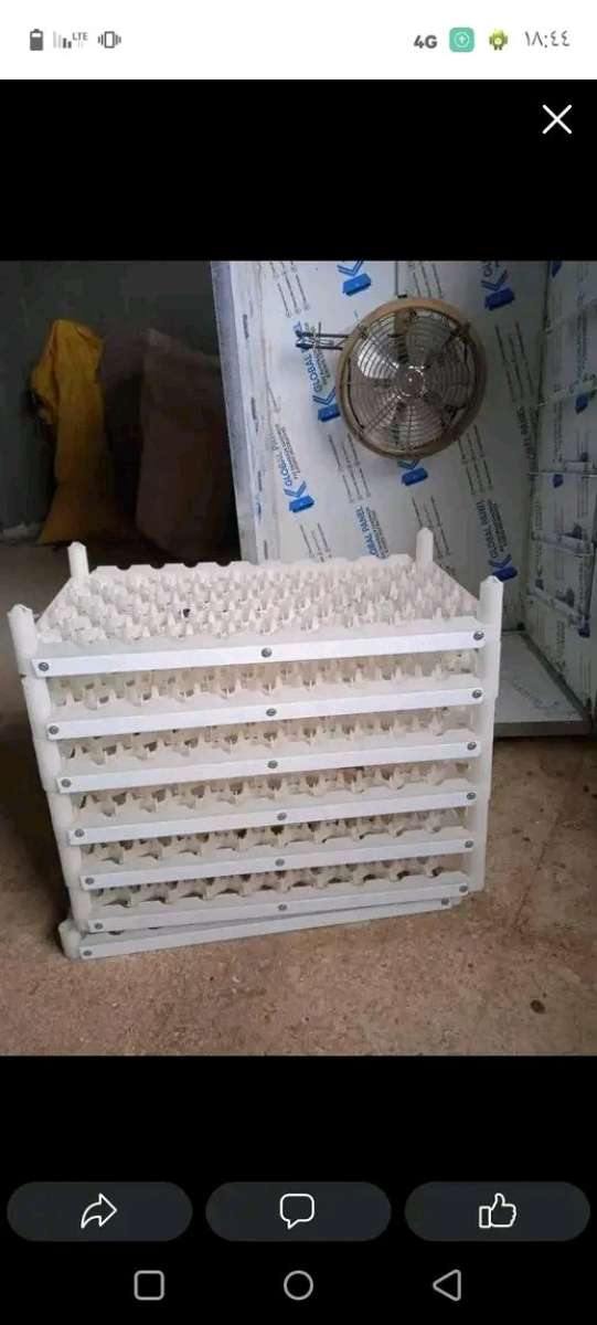 فقاصة بيض اتوماتيكية