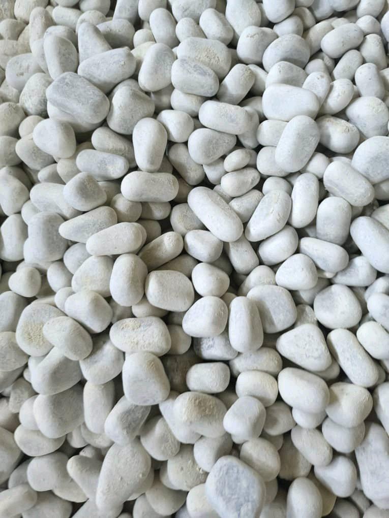 Galet Marbre Blanc AthenaGallet