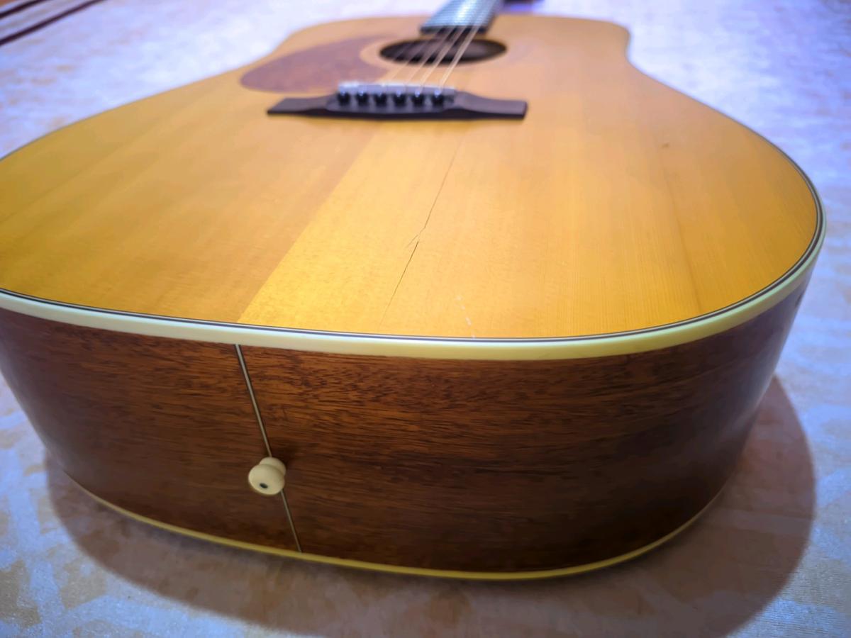 guitar acoustic cort earth lh 100