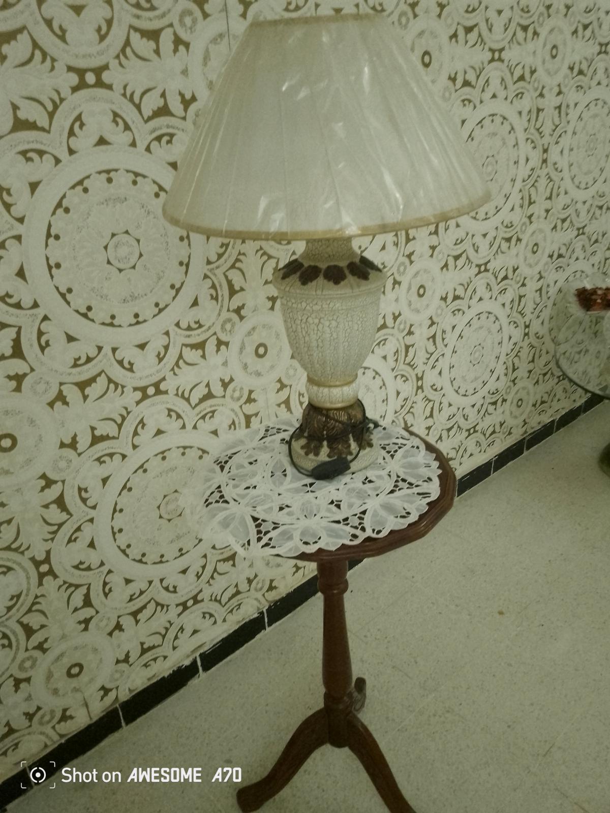 repasseur  a vapeur pour vtements   et rideaux et tapis