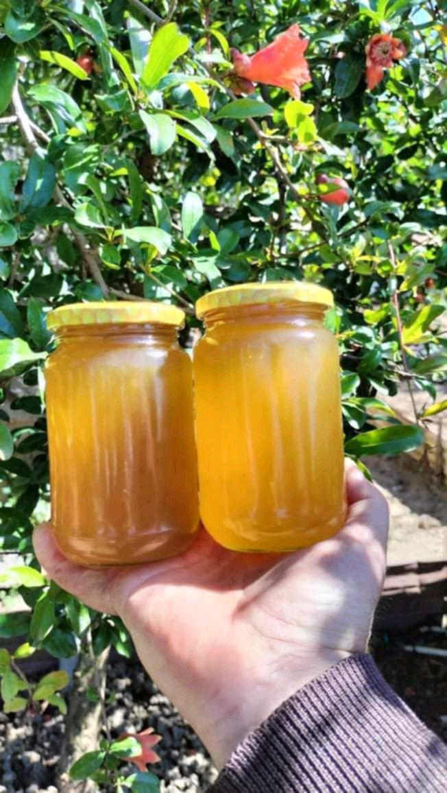 miel jujubier