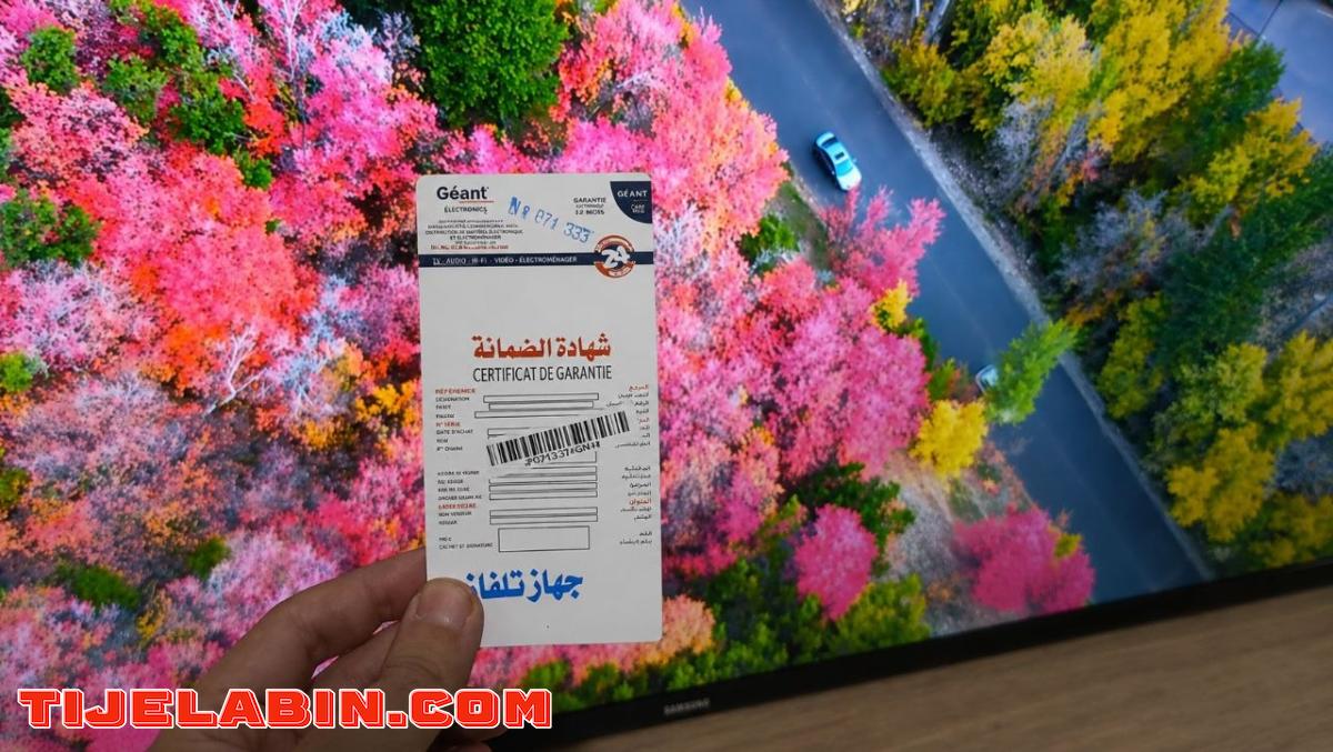 Télévision  43P Simple Marque Géant