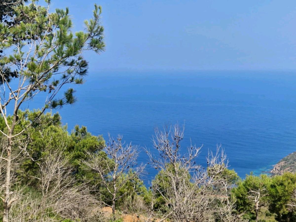 Locations Vacances  Tenes