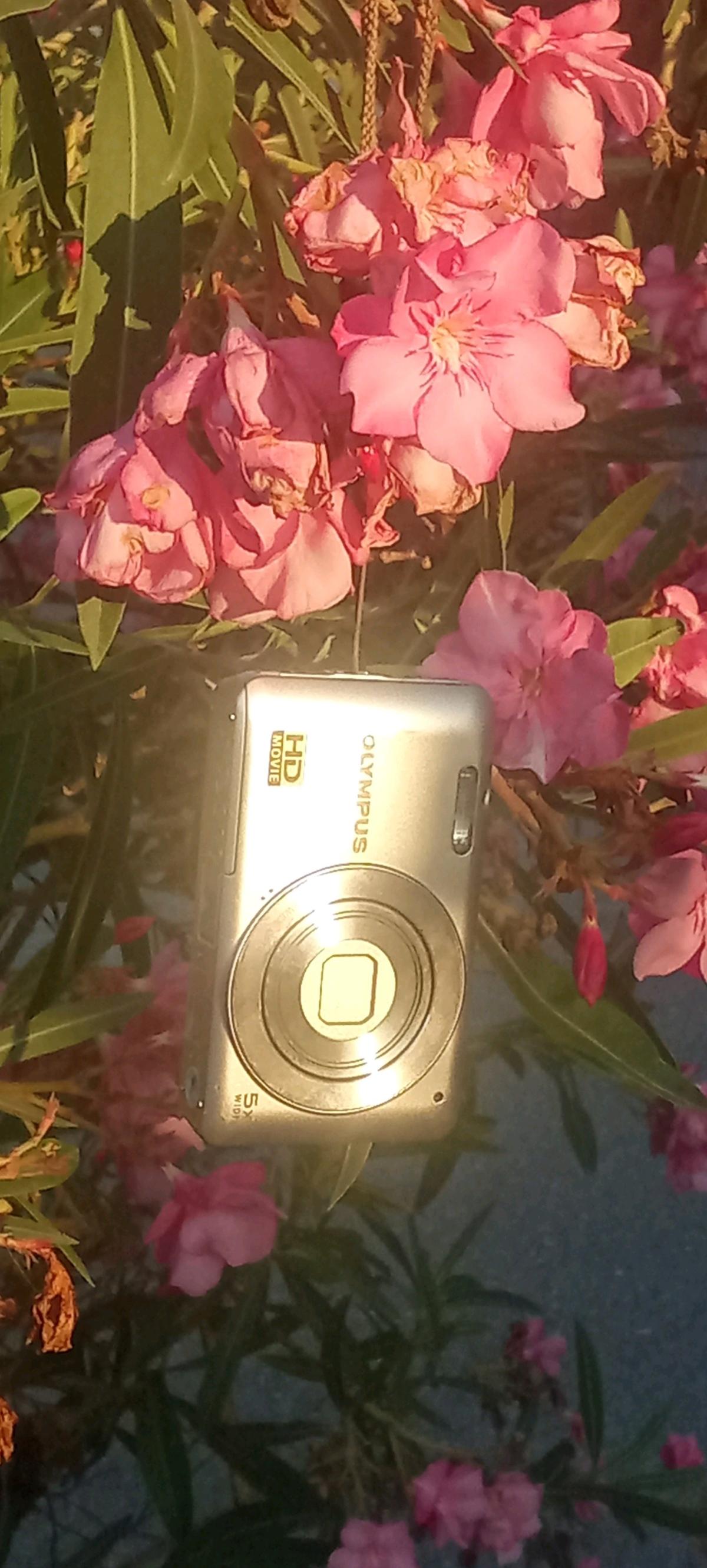 Camera digital Olympus VG120