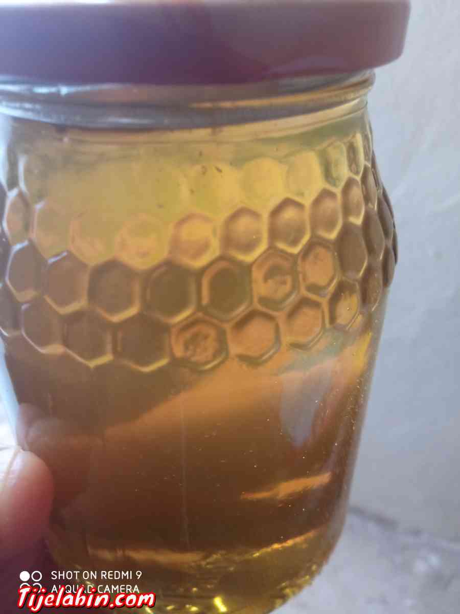 عسل السدرة مضمون