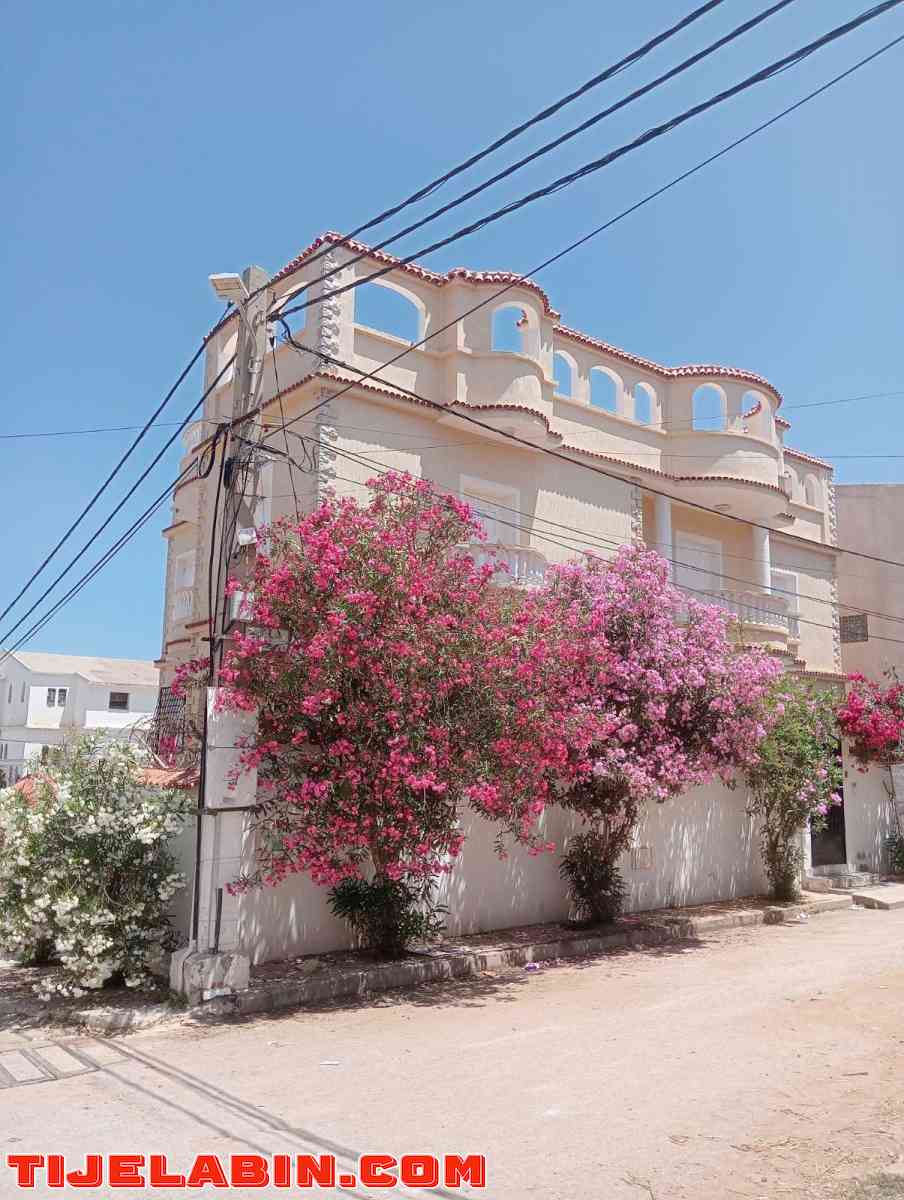 Villa à vendre à Alger