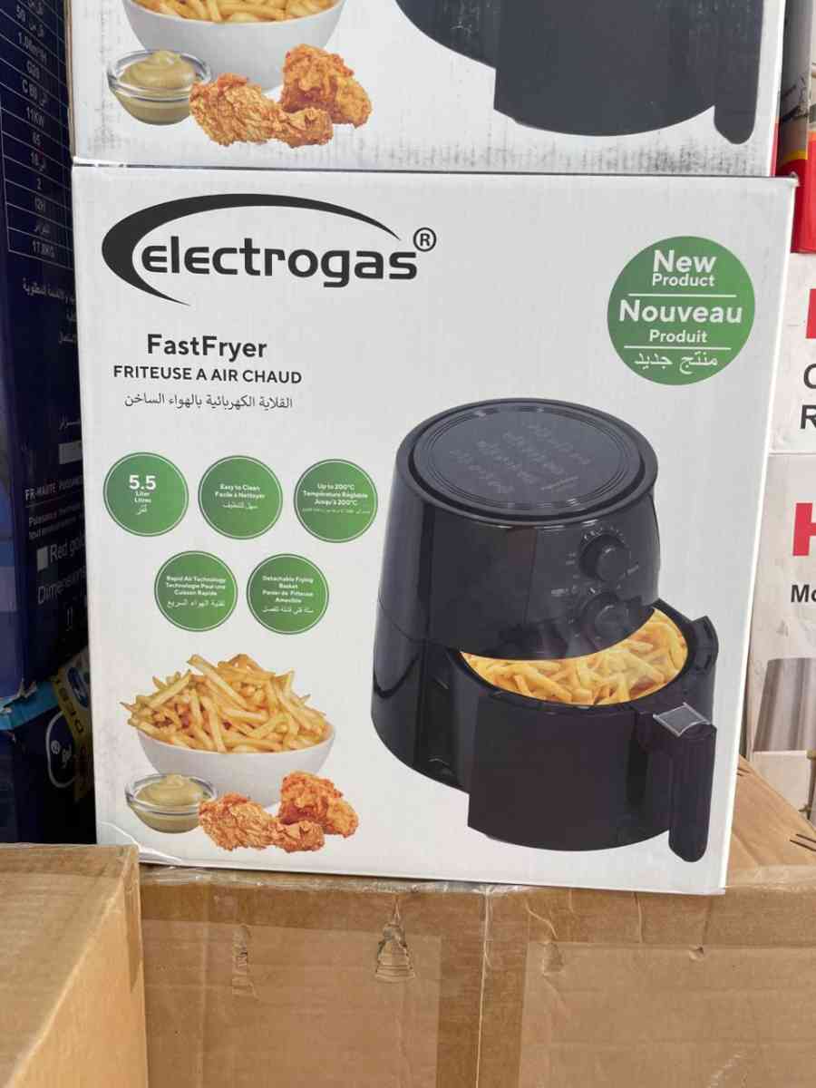 electrogas fast fryer