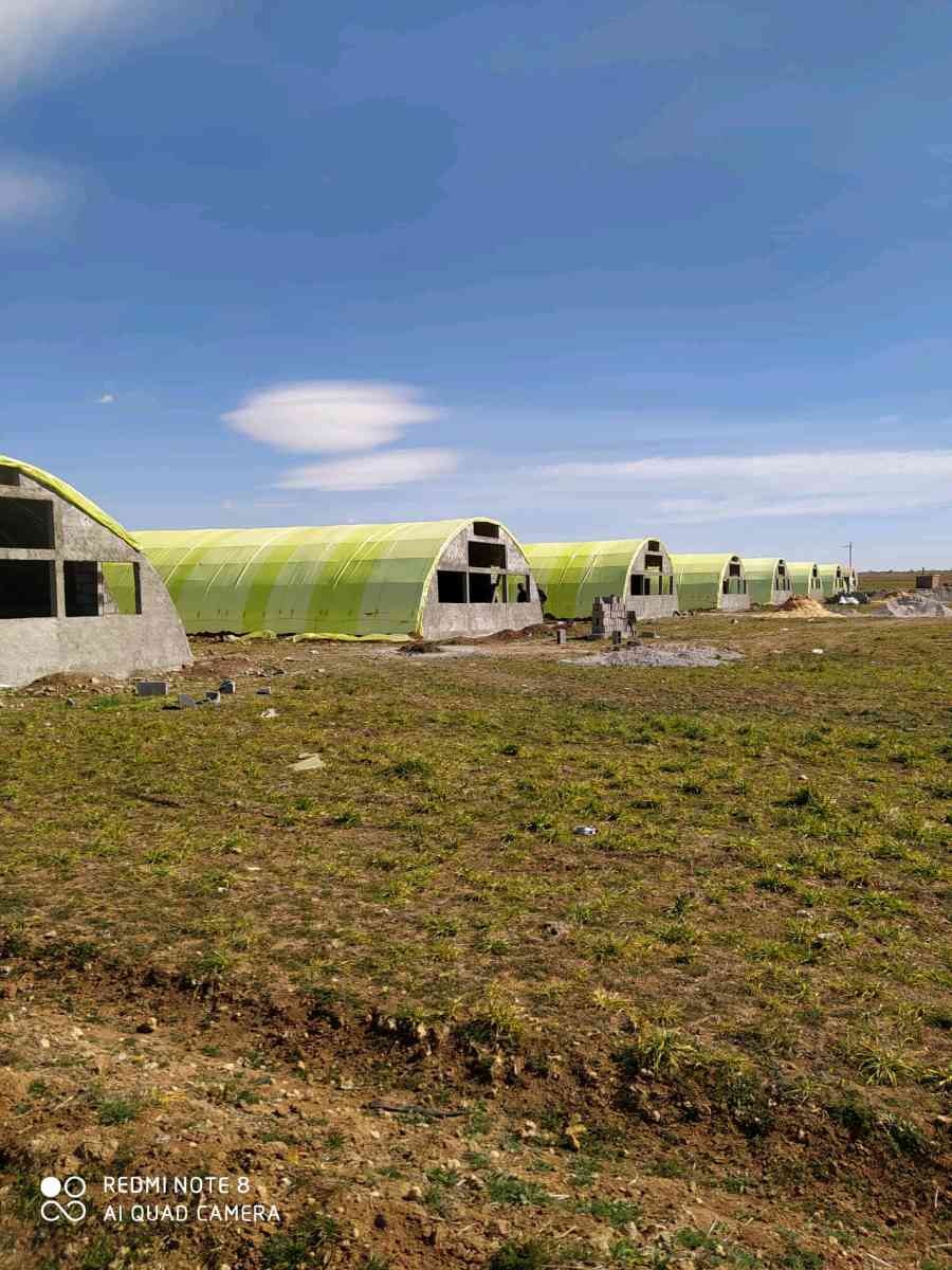 بيع وتركيب البيوت البلاستيكية الخاصة بتربية الدواجن ومعداتها