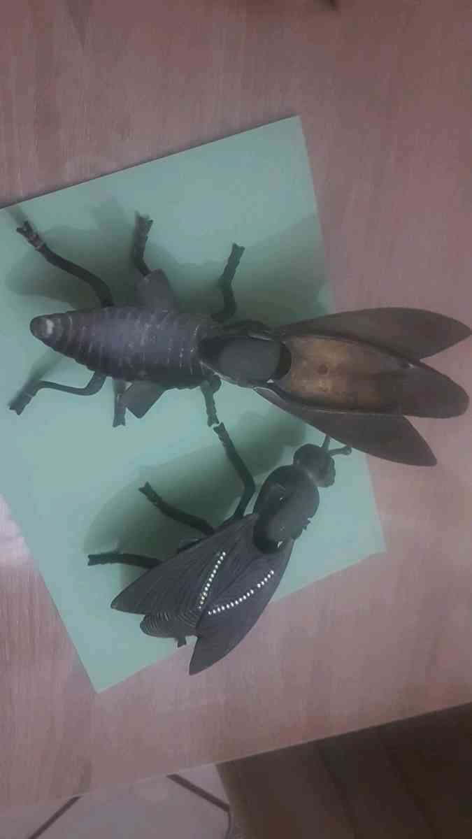 Cendrier Mouche - Alger Centre, Alger - Tijelabin