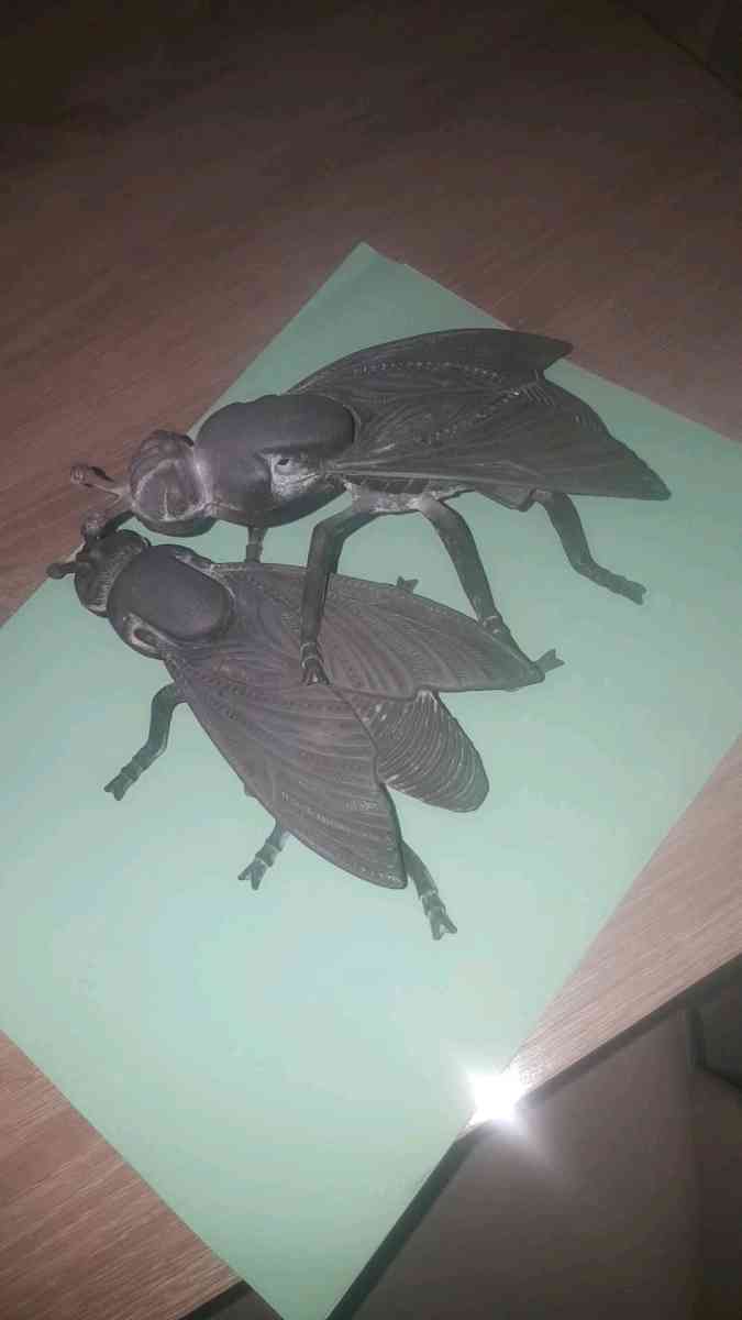 Cendrier Mouche - Alger Centre, Alger - Tijelabin