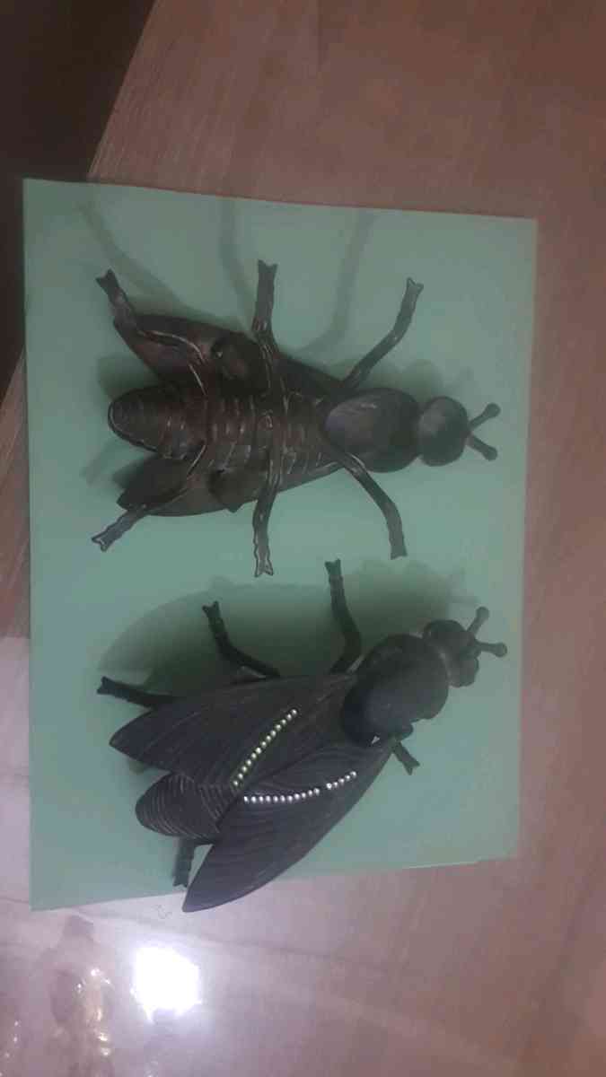 Cendrier Mouche - Alger Centre, Alger - Tijelabin