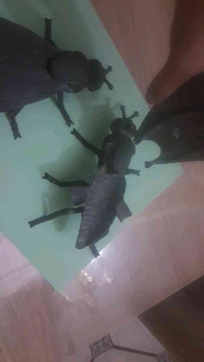 Cendrier Mouche - Alger Centre, Alger - Tijelabin
