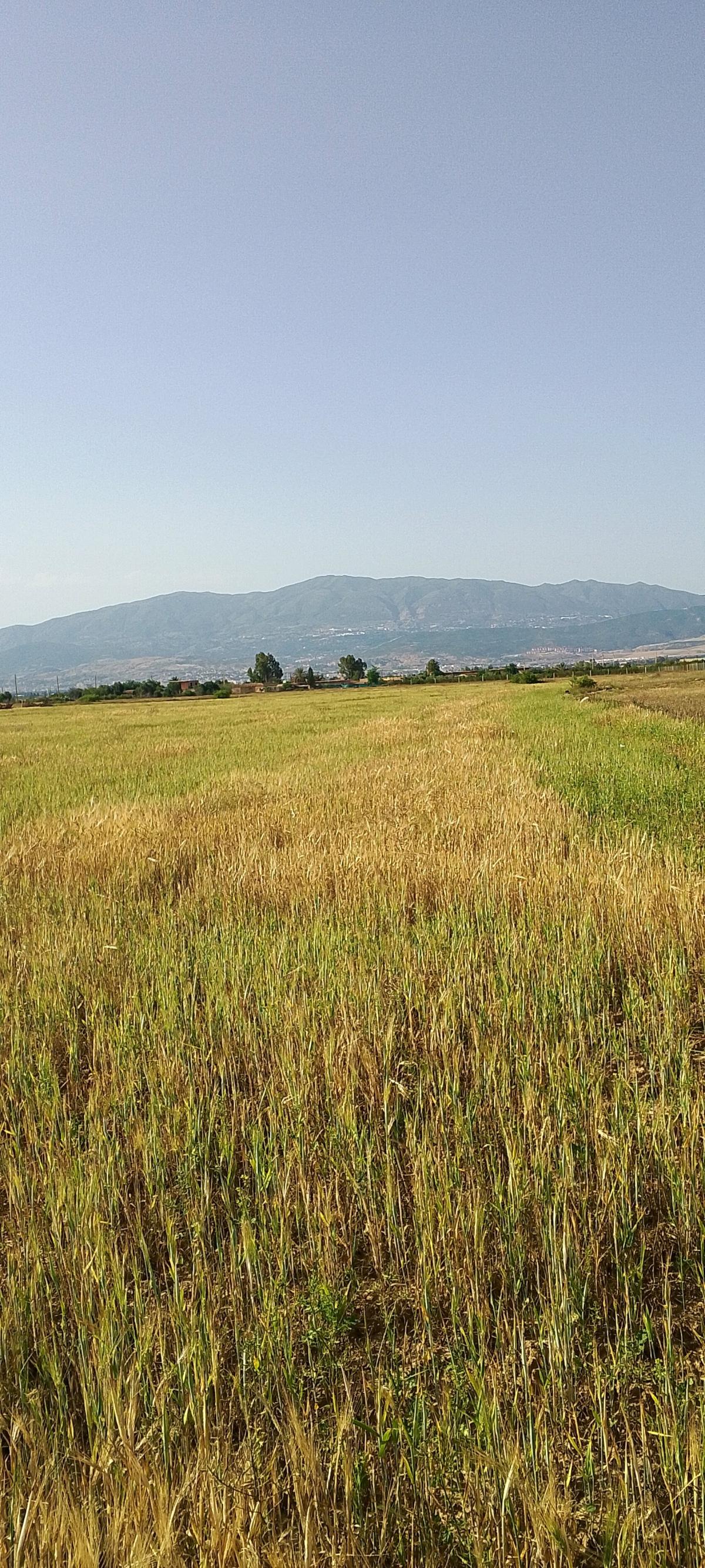 ارض للبيع بعقد الملكية