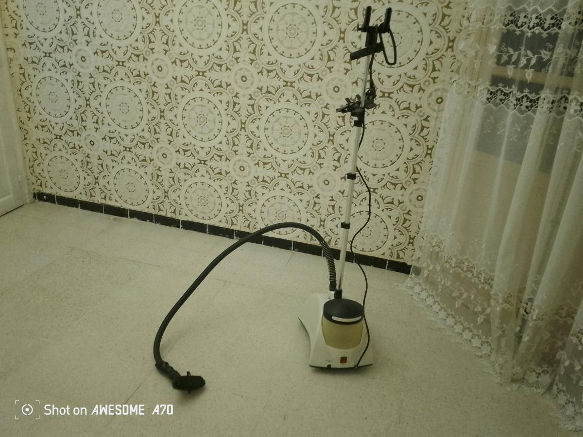 repasseur a vapeur pour vtements  et tapis fauteuils