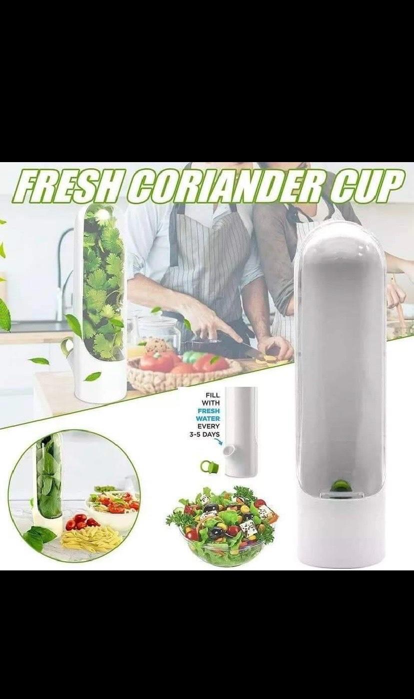 حافضة الأعشاب - Alger Centre, Alger - Tijelabin