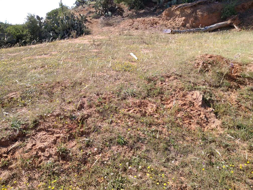 Lot de terrain pour habitation