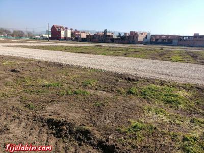 بيع قطع ارضي صالحة لي بناء بضواحي رايس بلعوادي ( عقد ملكية د - Thumbnail 2