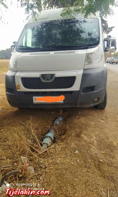 boxer 2008 - Thumbnail 2