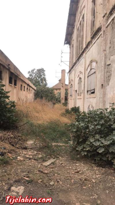 vente d hangar - Thumbnail 2