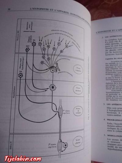 livres de médecine - Thumbnail 4
