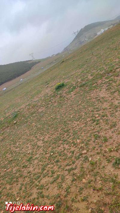 قطعة ارض - Thumbnail 2