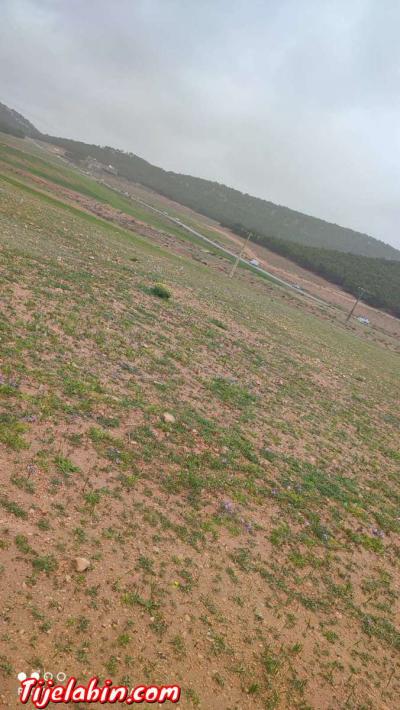 قطعة ارض للبيع - Thumbnail 6